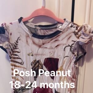 Posh Peanut